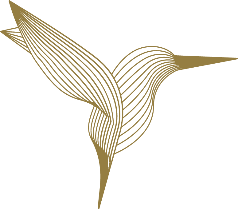 designbirds